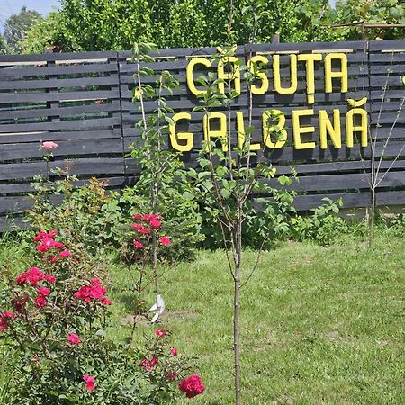 Casuta Galbena Villa Eforie Nord Exteriör bild