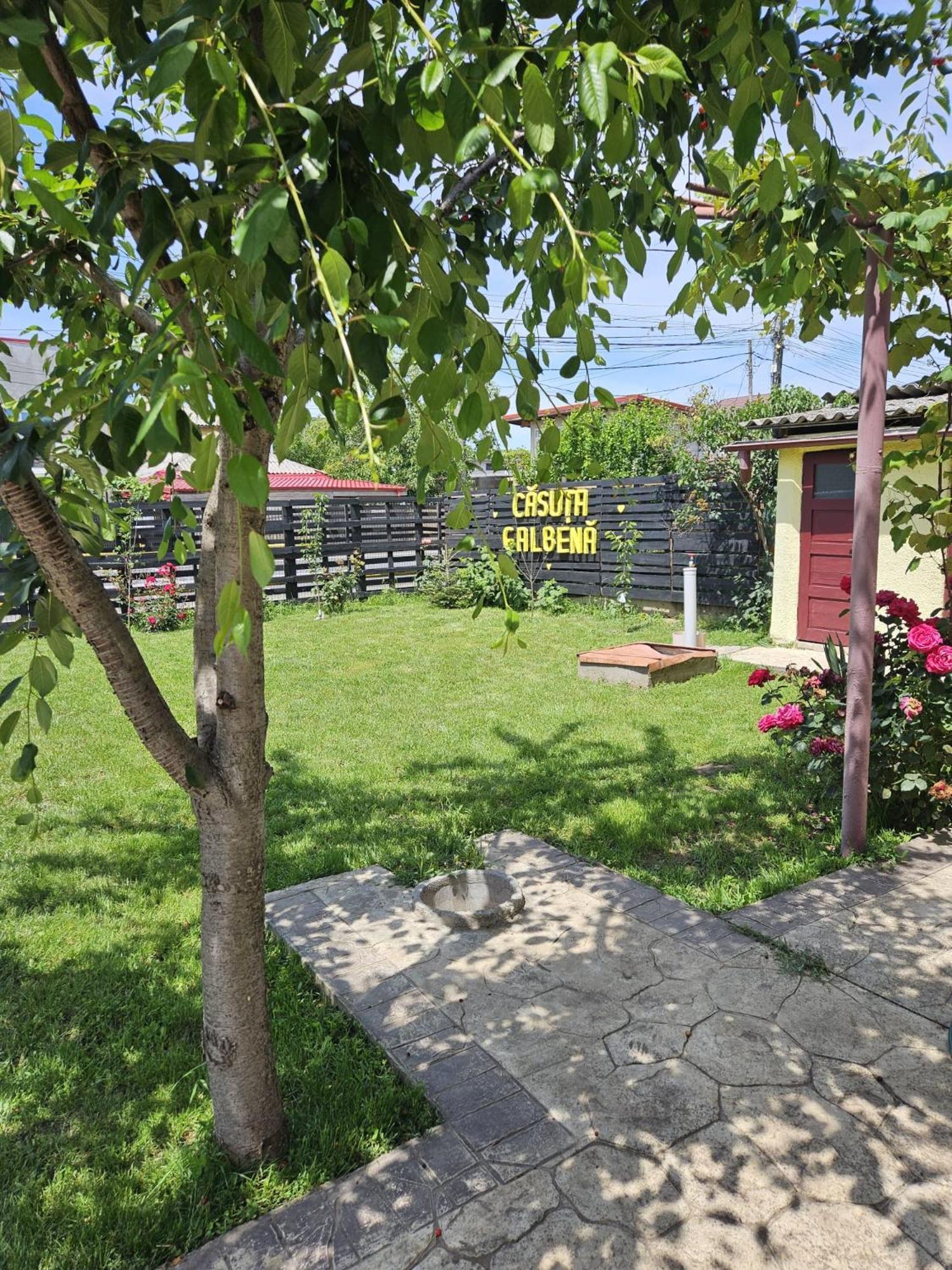 Casuta Galbena Villa Eforie Nord Exteriör bild
