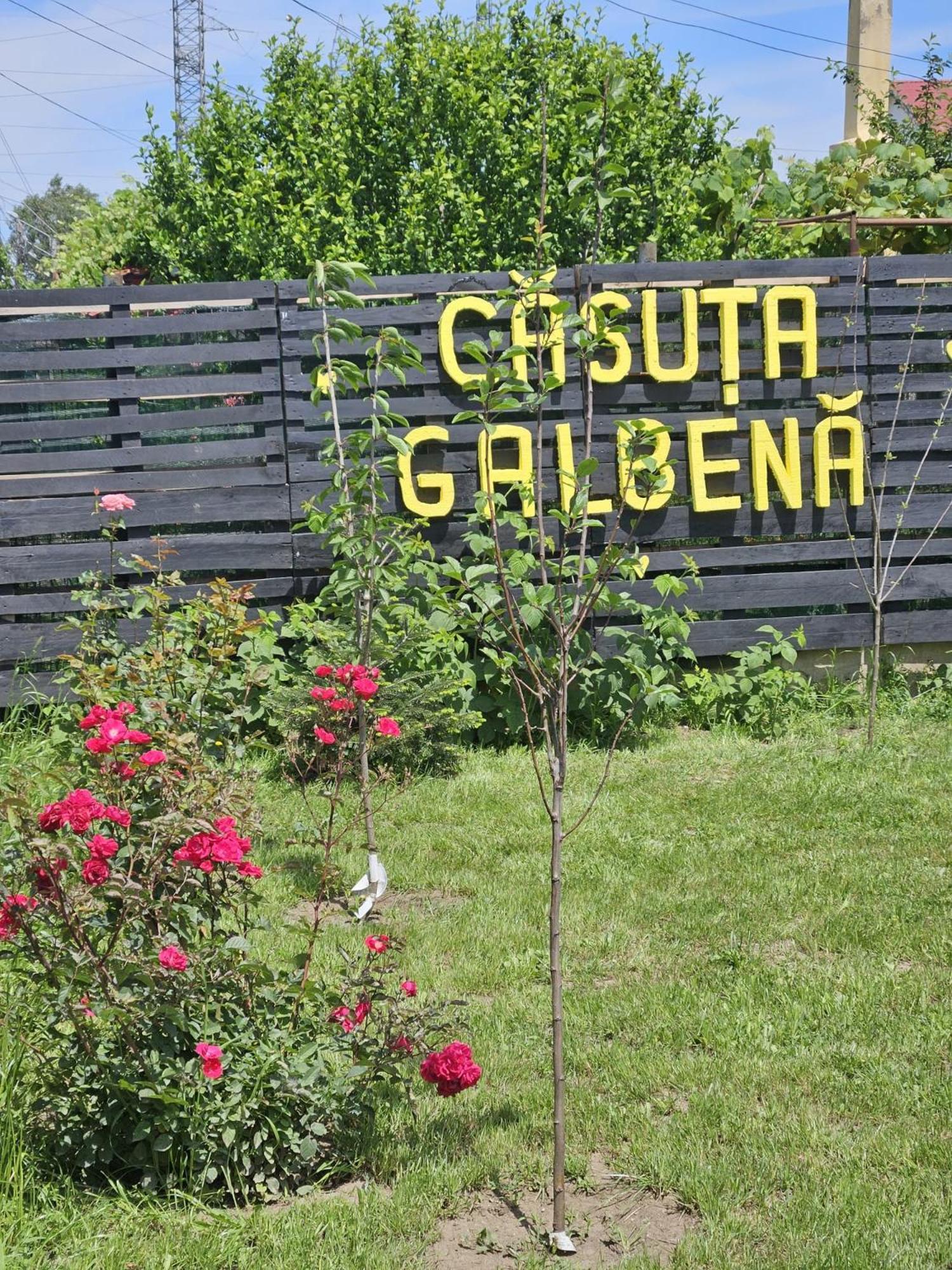 Casuta Galbena Villa Eforie Nord Exteriör bild